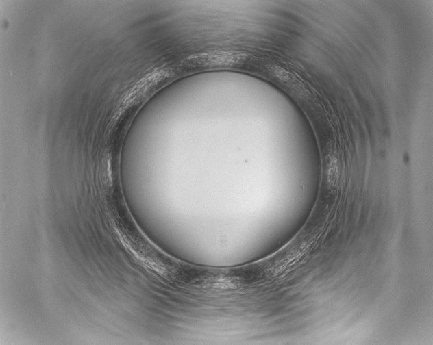 X0000058810254200510171542