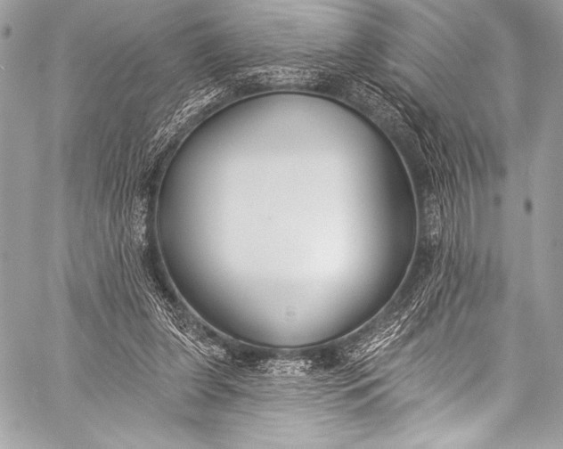 X0000058810255200510171542