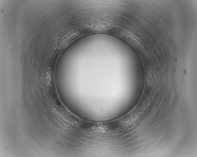 X0000058810259200510171542