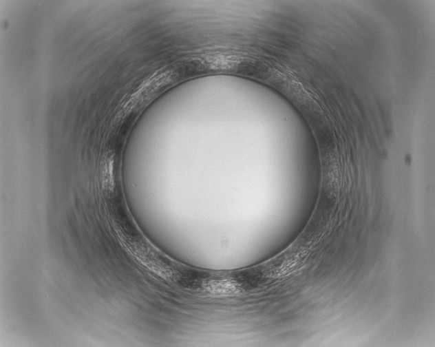 X0000058810262200510171542