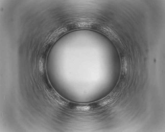 X0000058810266200510171542