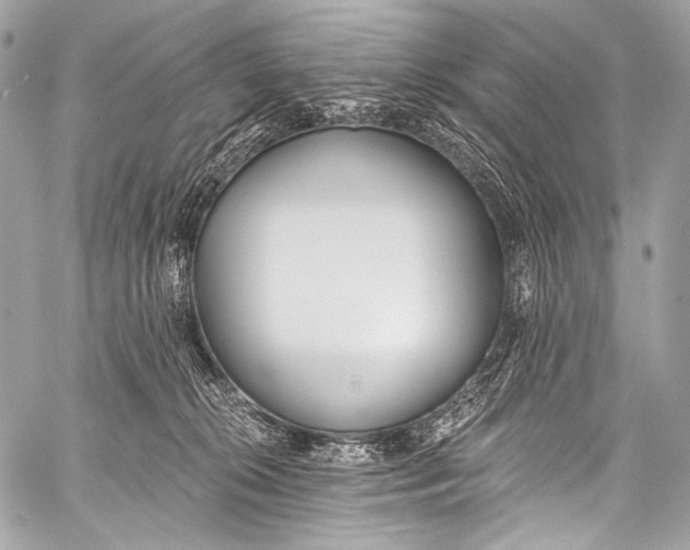 X0000058810276200510171542