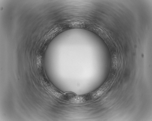 X0000058810278200510171542