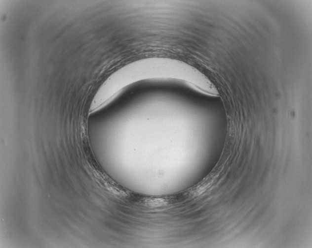 X0000058810287200510171542