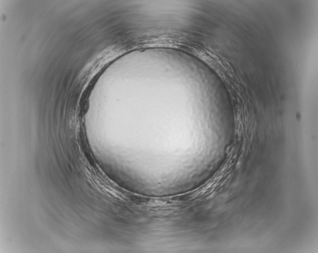 X0000058810290200510171541