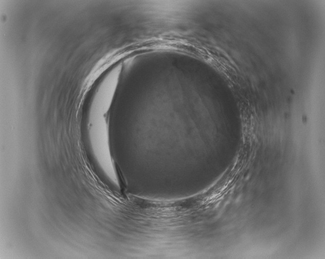 X0000058810295200510171541