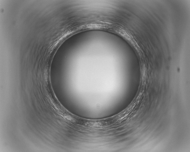 X0000058810297200510171541