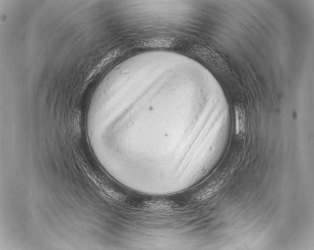 X0000058810300200510171541