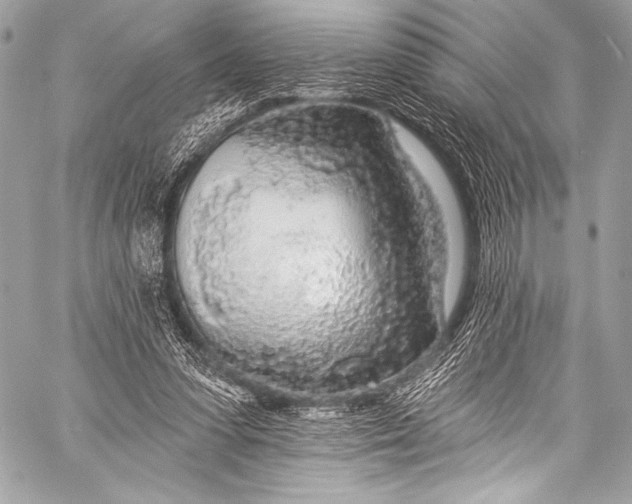 X0000058810303200510171541
