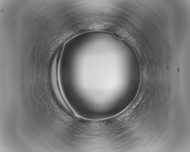 X0000058810305200510171541
