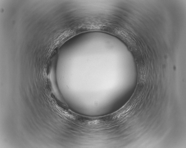 X0000058810309200510171541