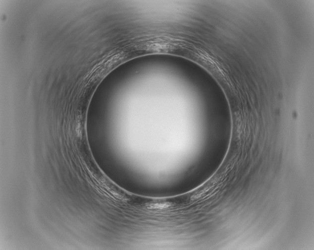 X0000058810313200510171541