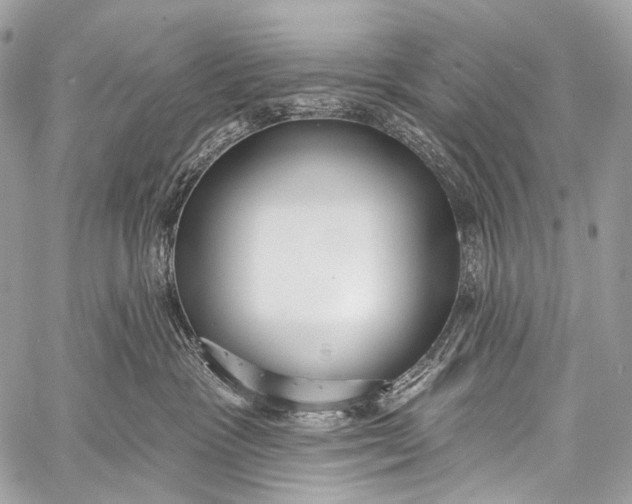 X0000058810333200510171541