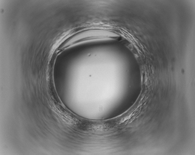 X0000058810344200510171540