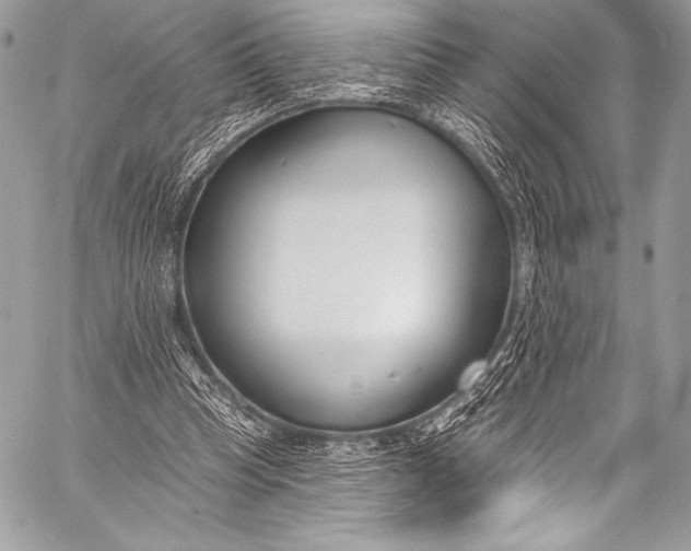 X0000058810345200510171540