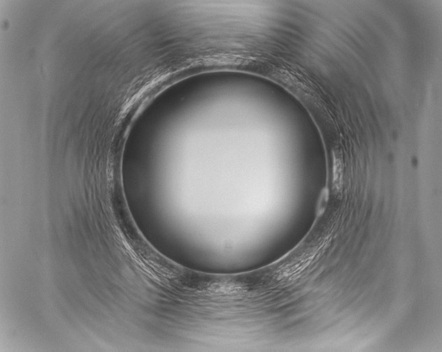 X0000058810348200510171540