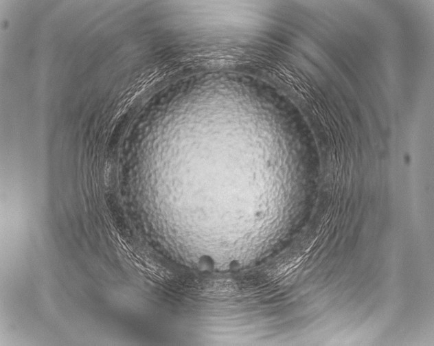 X0000058810355200510171540