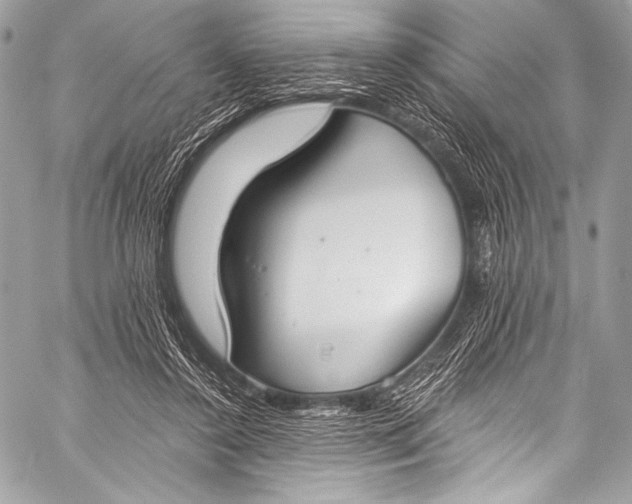 X0000058810356200510171540