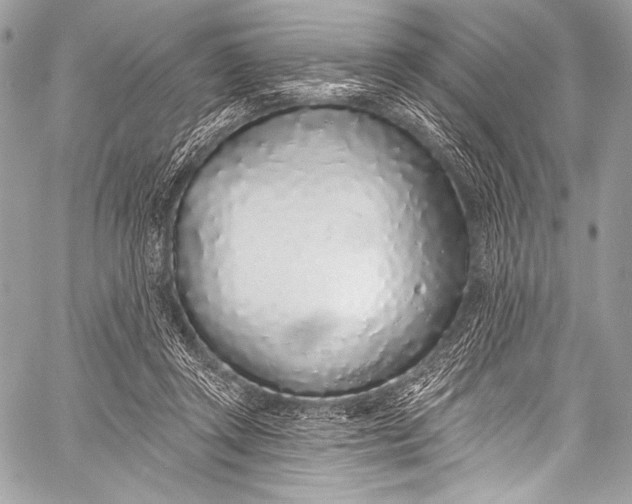 X0000058810357200510171540