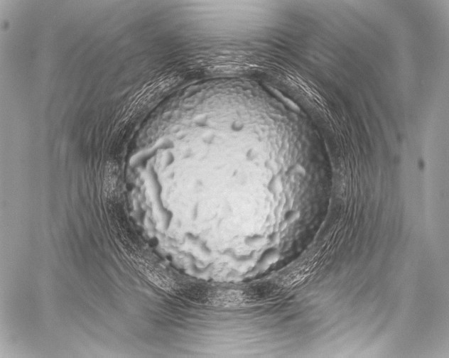 X0000058810361200510171540