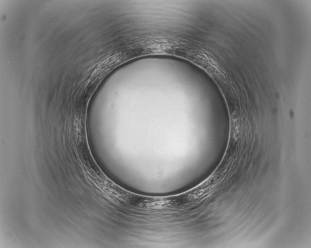 X0000058810365200510171540