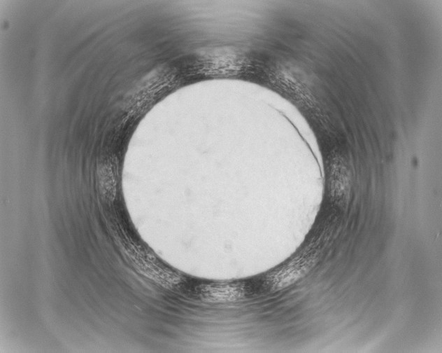 X0000058810370200510171540