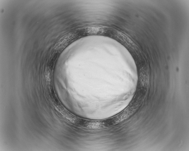 X0000058810375200510171540