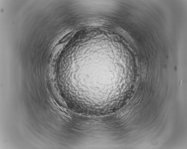 X0000058810386200510171540