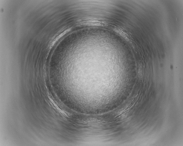 X0000058810390200510171540