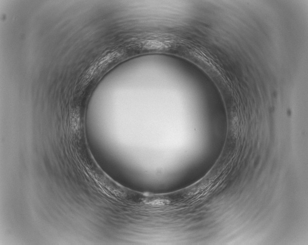 X0000058810407200510171539