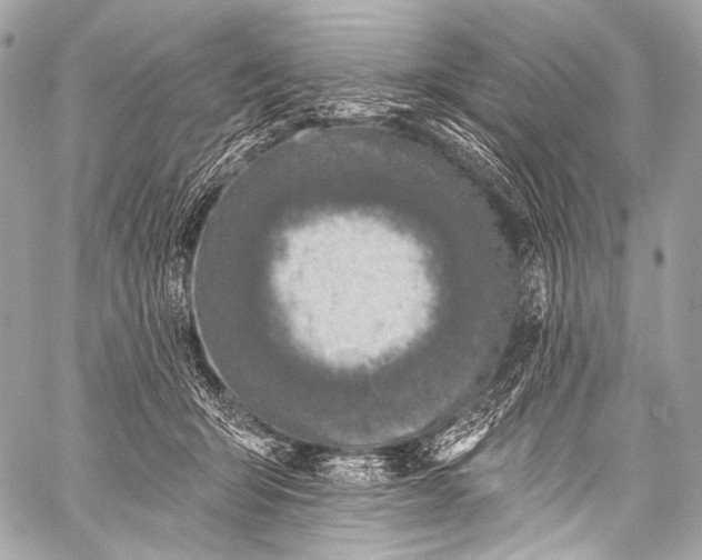 X0000058810415200510171539