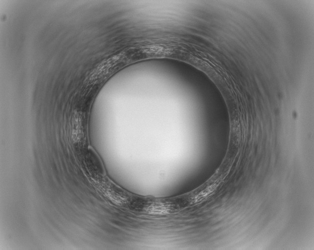 X0000058810416200510171539