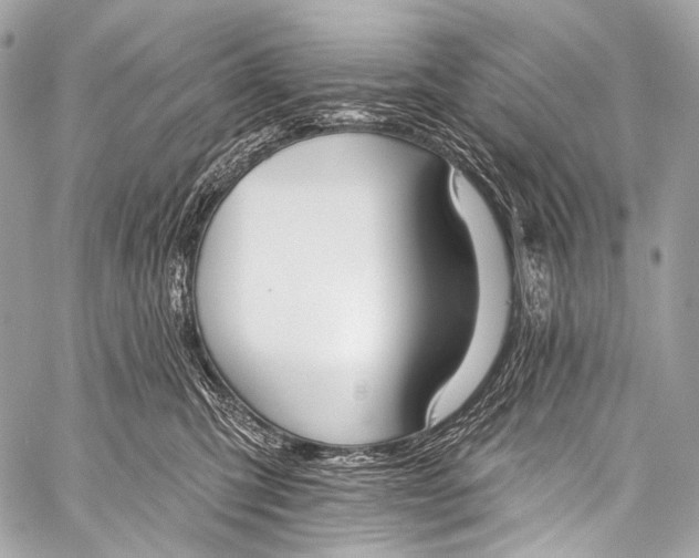 X0000058810423200510171539