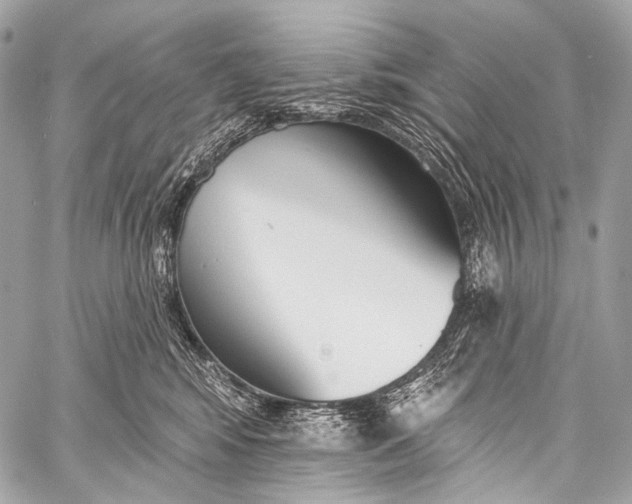 X0000058810424200510171539