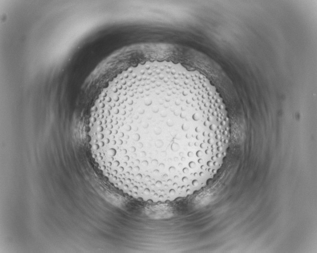 X0000058810431200510171539