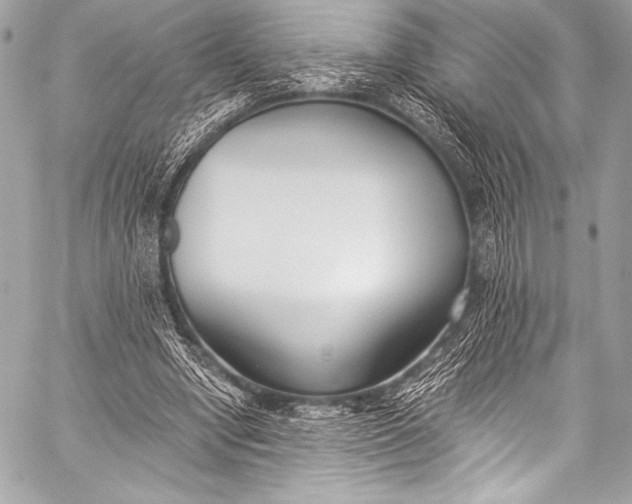X0000058810442200510171538