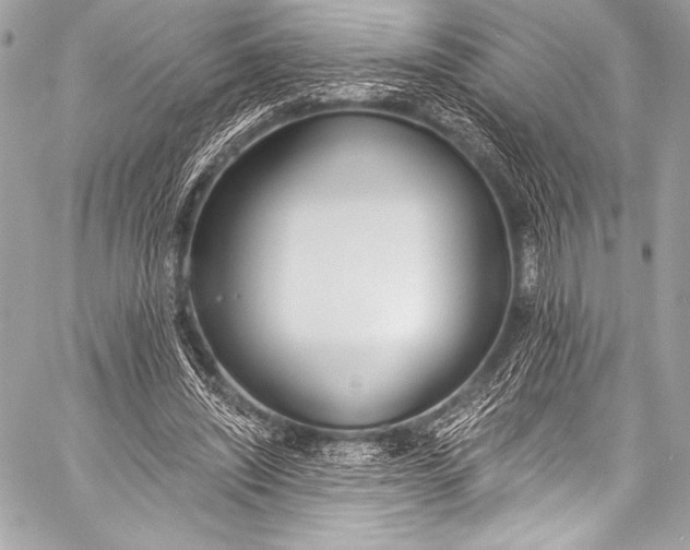 X0000058810444200510171538
