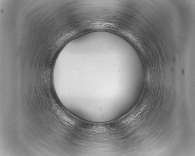 X0000058810445200510171538