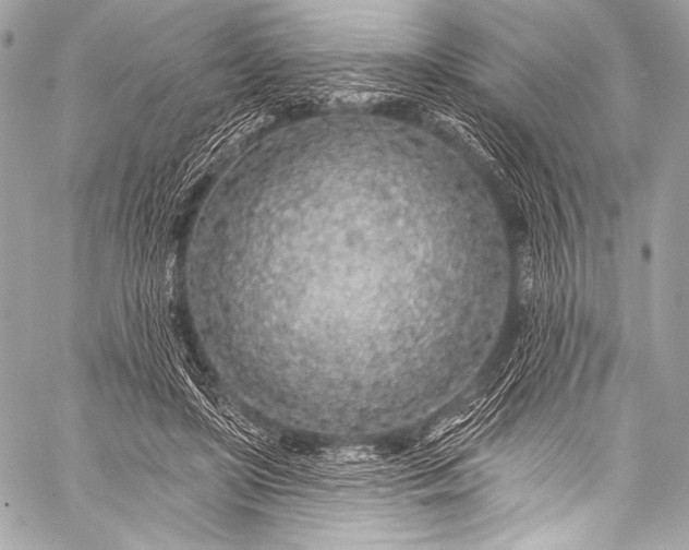 X0000058810451200510171539