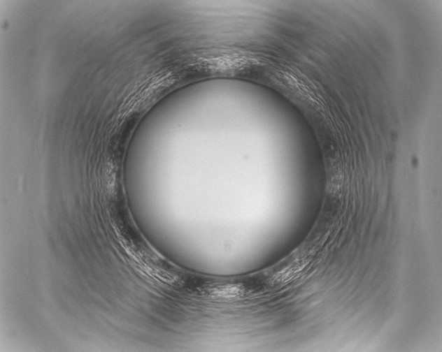 X0000058810456200510171539