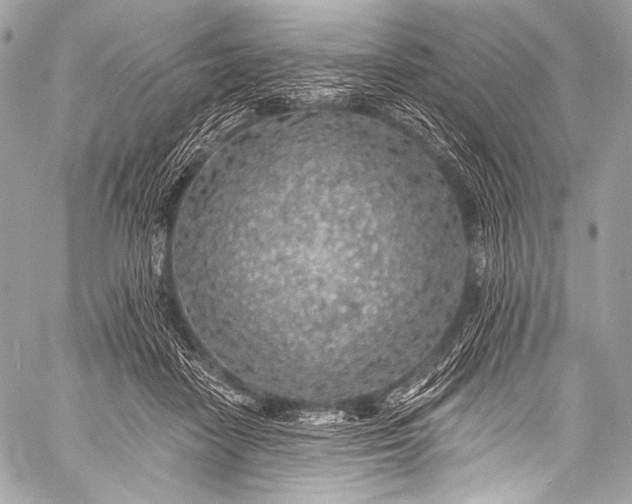 X0000058810458200510171539