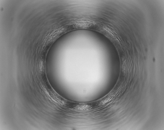 X0000058810459200510171539