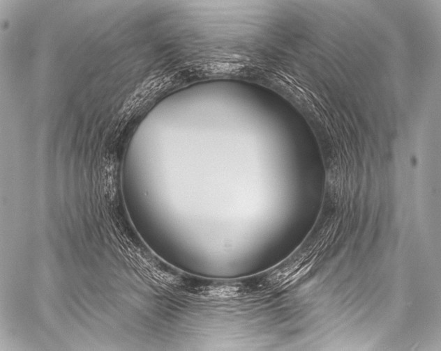 X0000058810462200510171539
