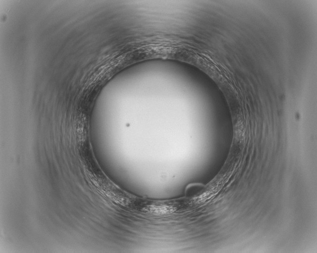 X0000058810464200510171539