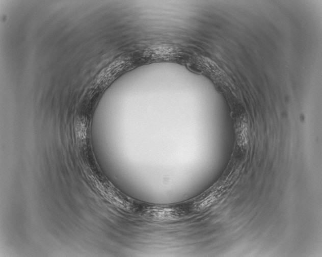 X0000058810472200510171539