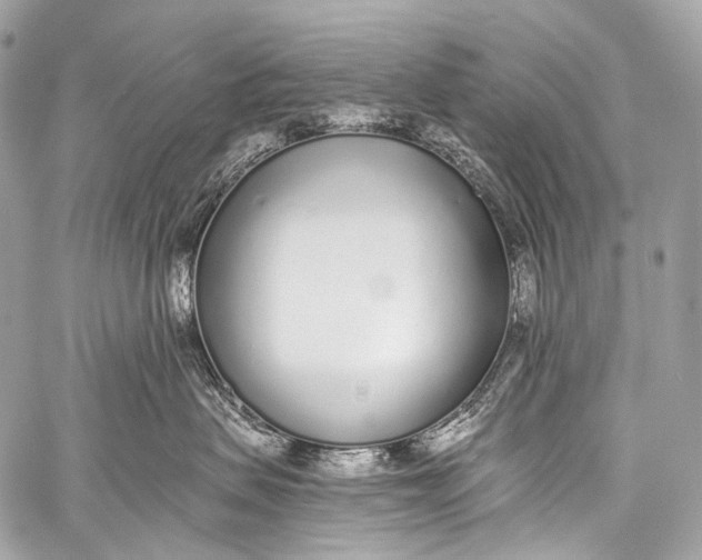 X0000058810479200510171539