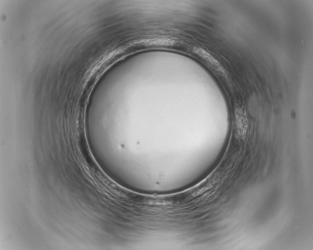 X0000058810487200510171538