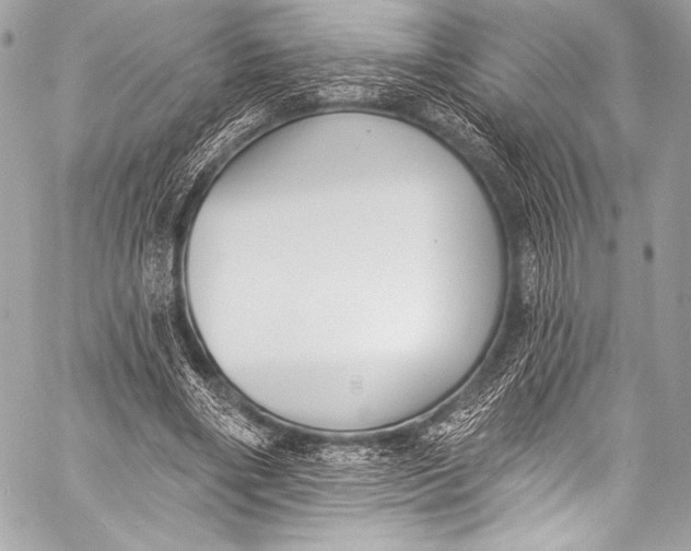 X0000058810490200510171538