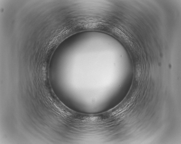 X0000058810497200510171538