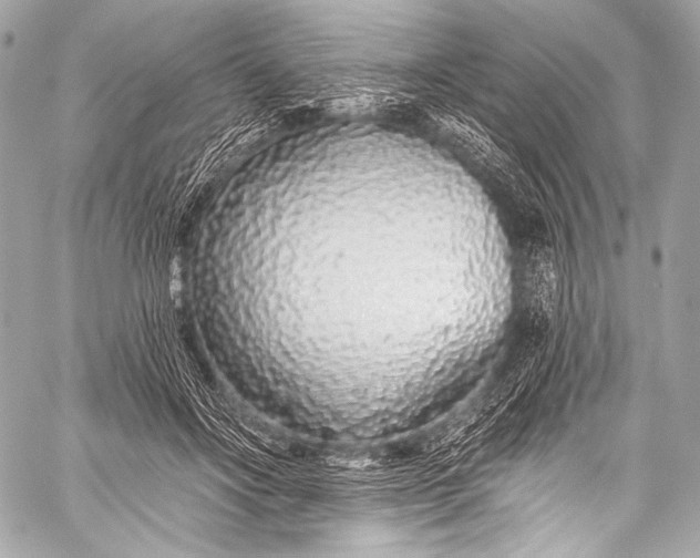 X0000058810502200510171538